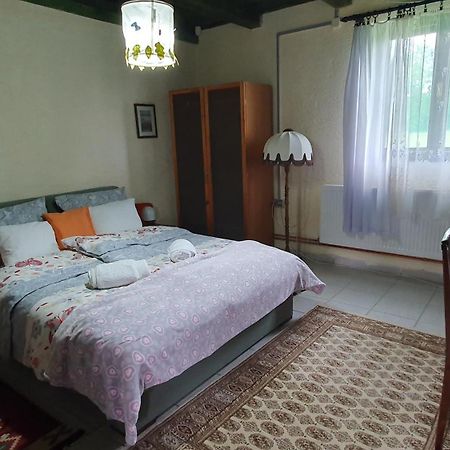 Etno Salas - Etno Ranch - Seosko Turisticko Domacinstvo Βίλα Palić Εξωτερικό φωτογραφία