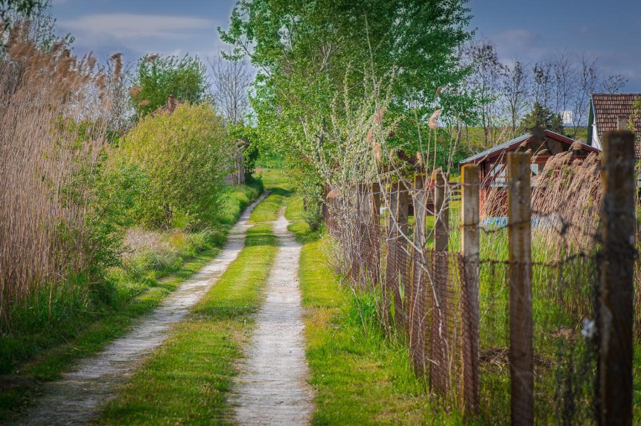 Etno Salas - Etno Ranch - Seosko Turisticko Domacinstvo Βίλα Palić Εξωτερικό φωτογραφία