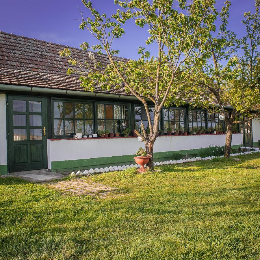 Etno Salas - Etno Ranch - Seosko Turisticko Domacinstvo Βίλα Palić Εξωτερικό φωτογραφία