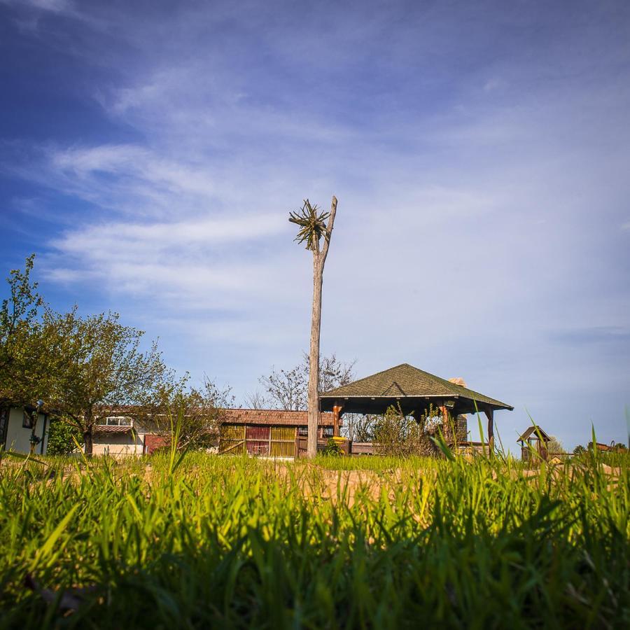Etno Salas - Etno Ranch - Seosko Turisticko Domacinstvo Βίλα Palić Εξωτερικό φωτογραφία