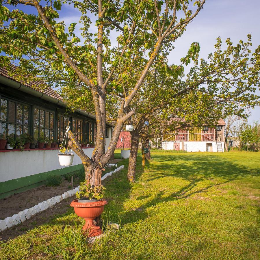 Etno Salas - Etno Ranch - Seosko Turisticko Domacinstvo Βίλα Palić Εξωτερικό φωτογραφία
